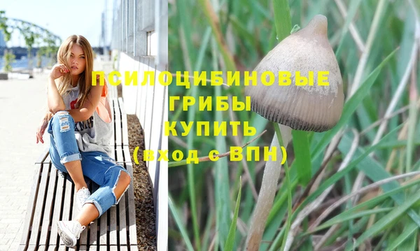 2c-b Алзамай