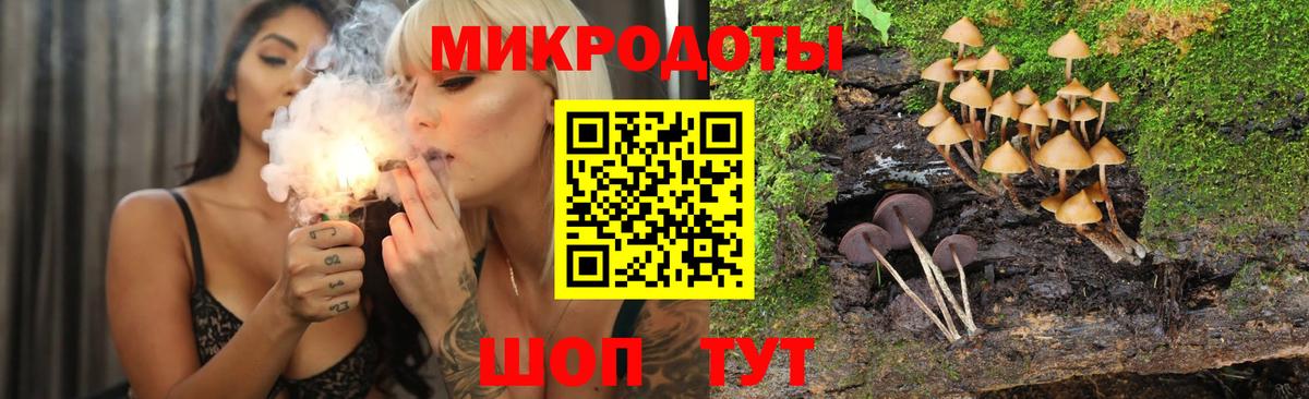 Псилоцибиновые грибы GOLDEN TEACHER Астрахань