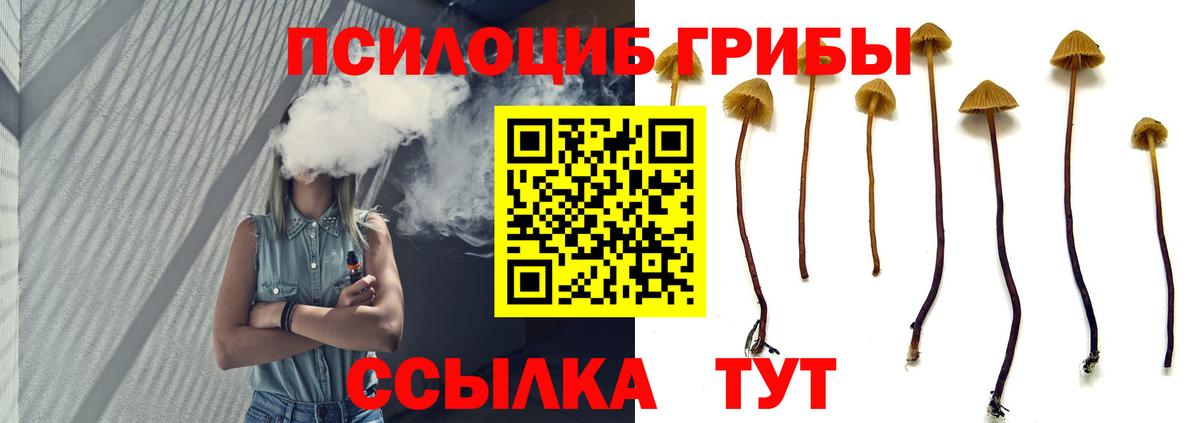 Астрахань  наркотики  Вход с VPN  Галлюциногенные грибы Psilocybine cubensis 